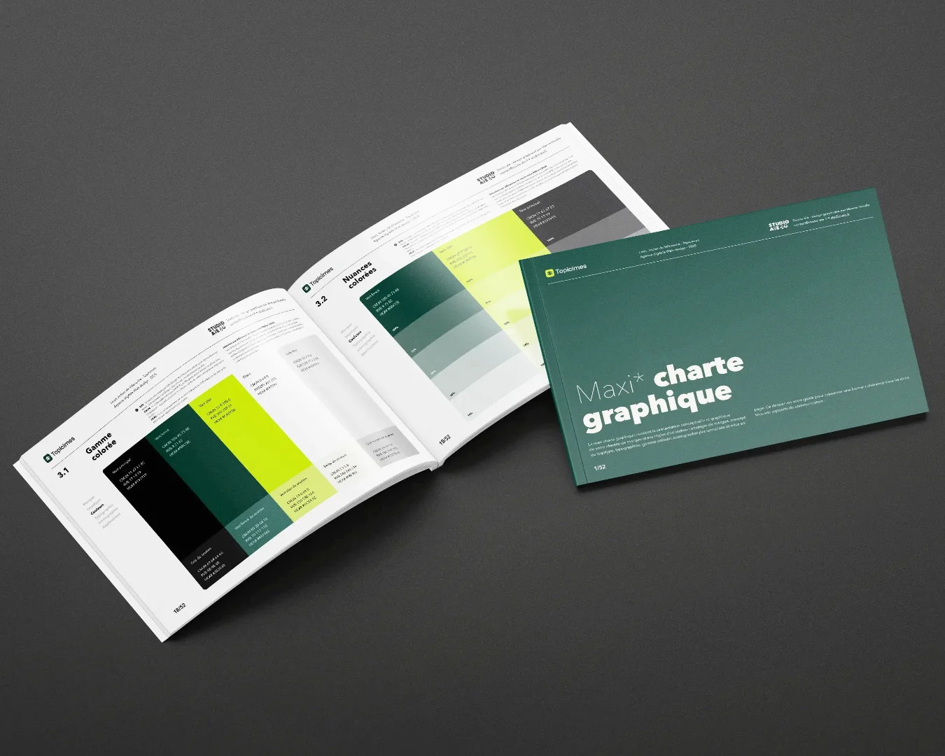 La charte graphique : les éléments indispensables à inclure
