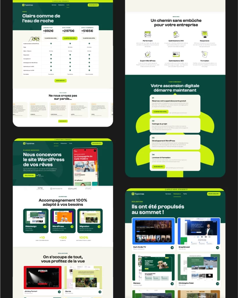 agence web site web topicimes - identité visuelle par studio aïe Manon Houille