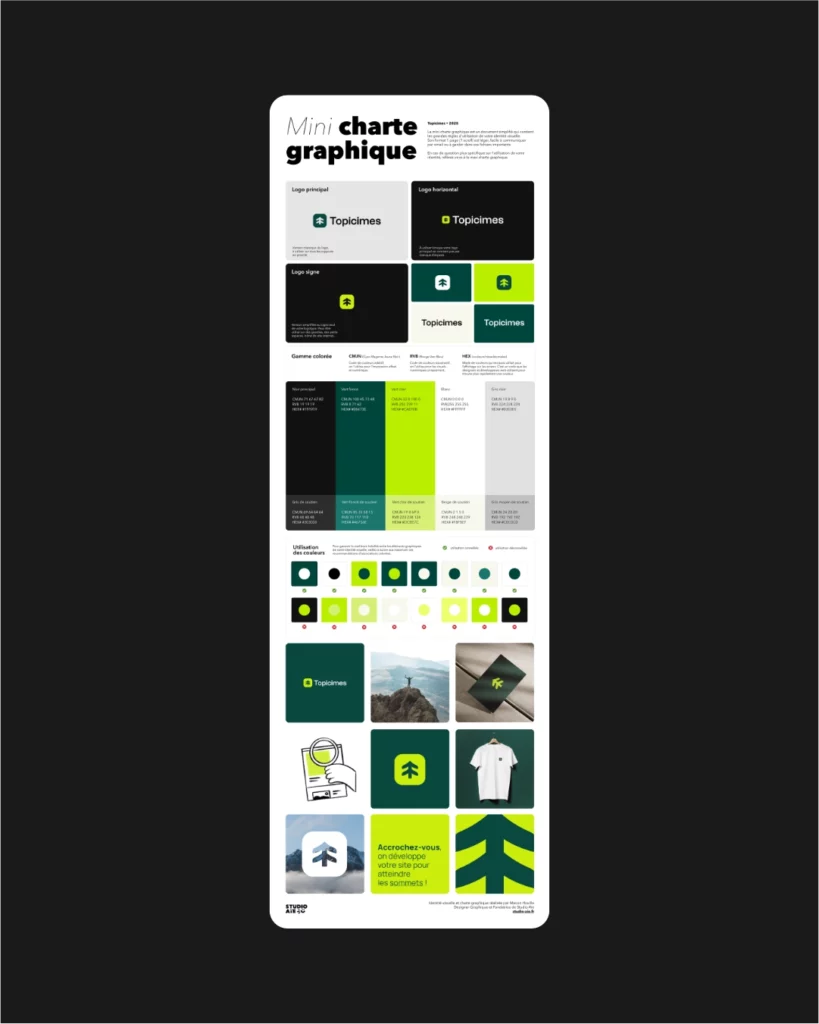 Logotypes topicimes identité visuelle studio aïe