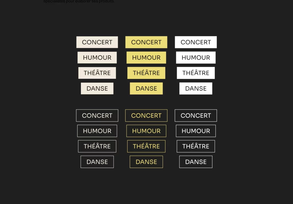 visuels graphiques icônes et pictogrammes branding société de production et organisation de spectacles 