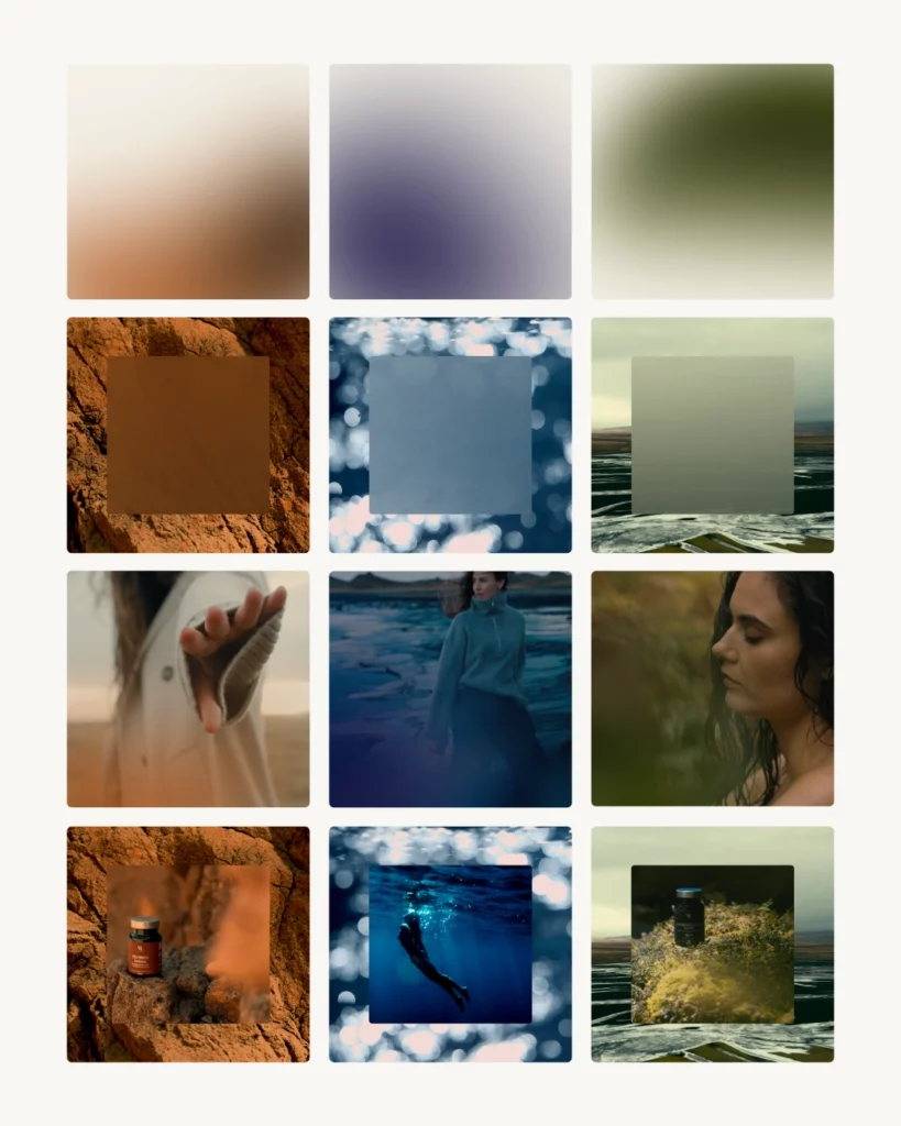 identité et design pour marque de compléments alimentaires apyforme